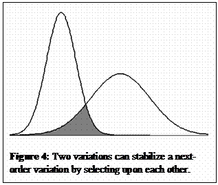 Text Box:  

Figure 4: Two variations can stabilize a next-order variation by selecting upon each other. 
