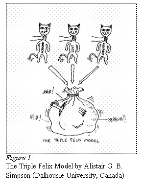 Text Box:  
Figure 1: 
The Triple Felix Model by Alistair G. B. Simpson (Dalhousie University, Canada)
